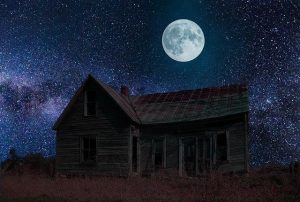 Dark/Suspense